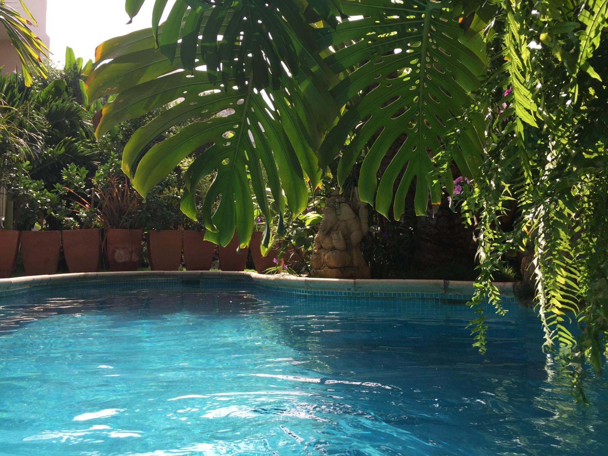 Apartamento Tropical Oasis Ouakam Exterior foto