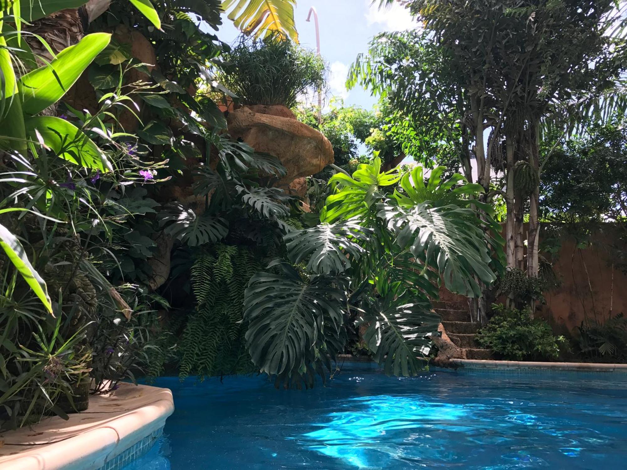 Apartamento Tropical Oasis Ouakam Exterior foto